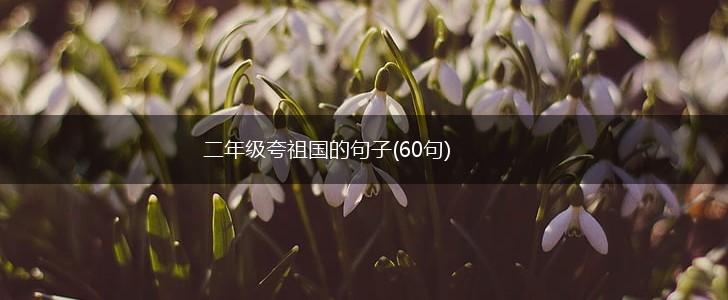 二年级夸祖国的句子(60句),第1张