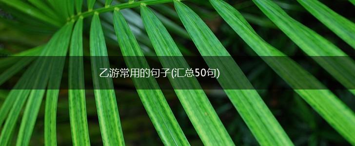 乙游常用的句子(汇总50句),第1张
