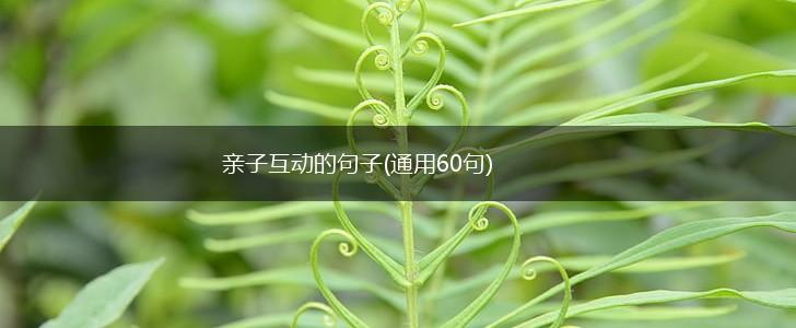 亲子互动的句子(通用60句),第1张
