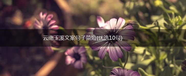 云南玉溪文案句子简短(优选10句),第1张