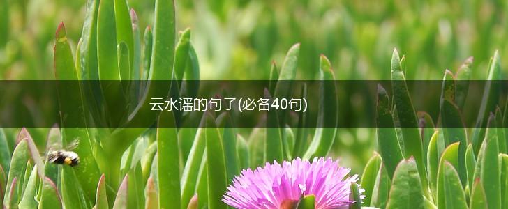 云水谣的句子(必备40句),第1张