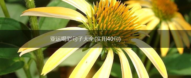 亚运喝彩句子大全(实用40句),第1张
