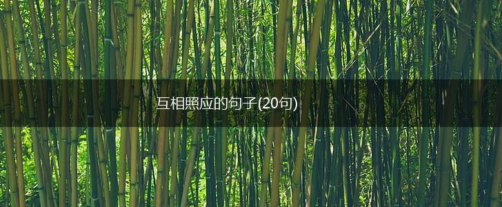 互相照应的句子(20句),第1张