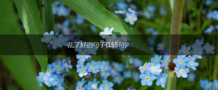 乱了好的句子(155句),第1张
