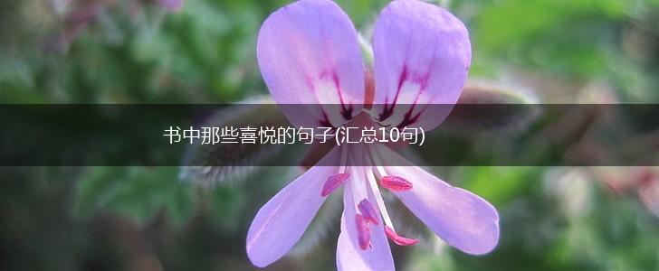 书中那些喜悦的句子(汇总10句),第1张