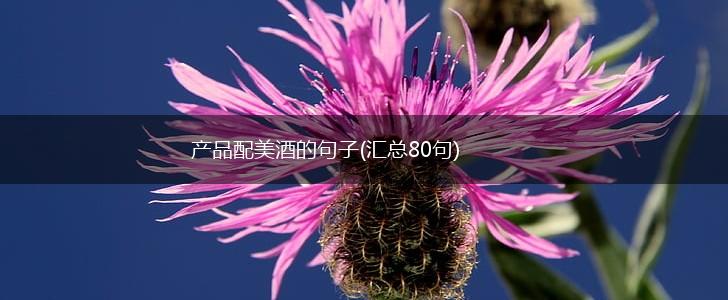 产品配美酒的句子(汇总80句),第1张
