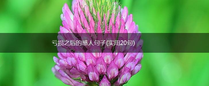 亏损之后的感人句子(实用20句),第1张