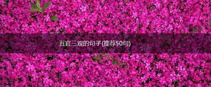 五官三观的句子(推荐50句),第1张