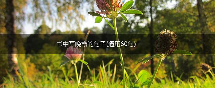 书中写晚霞的句子(通用60句),第1张