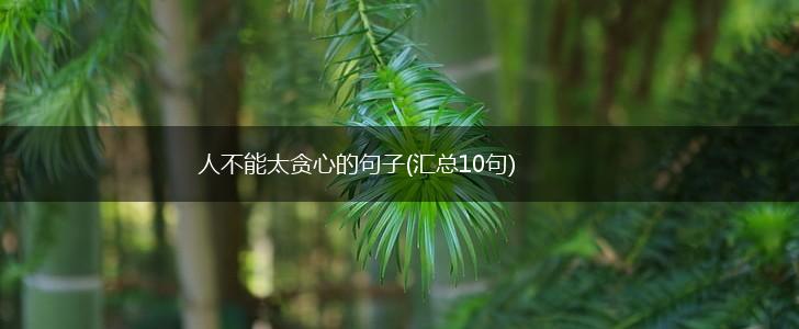 人不能太贪心的句子(汇总10句),第1张