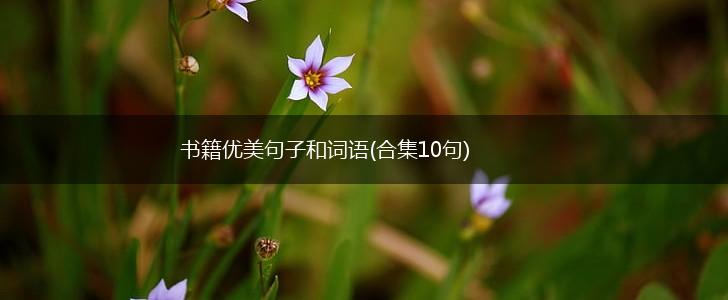 书籍优美句子和词语(合集10句),第1张