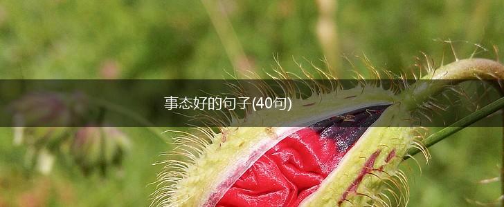 事态好的句子(40句),第1张