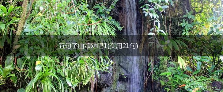 五句子山歌对唱1(实用21句),第1张