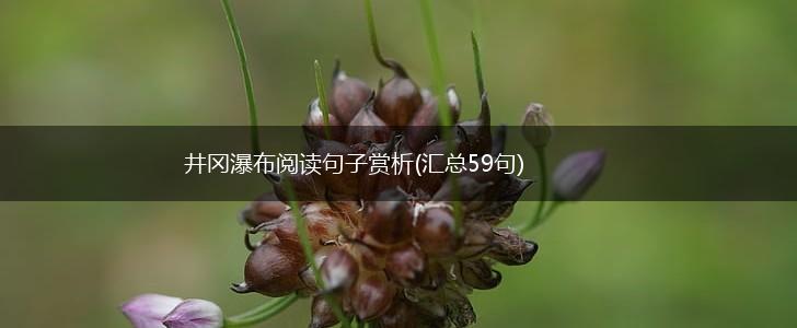 井冈瀑布阅读句子赏析(汇总59句),第1张