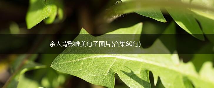 亲人背影唯美句子图片(合集60句),第1张
