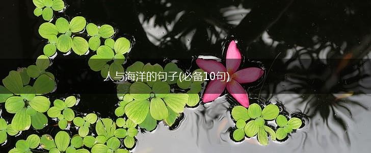 人与海洋的句子(必备10句),第1张