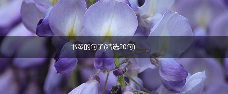 书琴的句子(精选20句),第1张