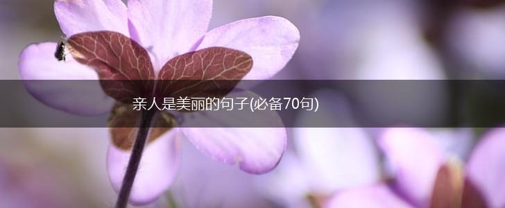 亲人是美丽的句子(必备70句),第1张
