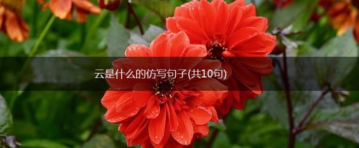 云是什么的仿写句子(共10句),第1张