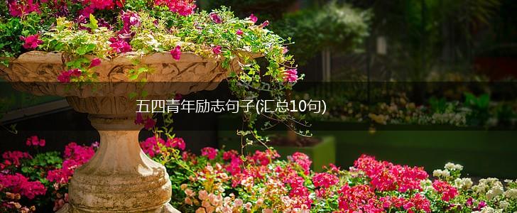 五四青年励志句子(汇总10句),第1张