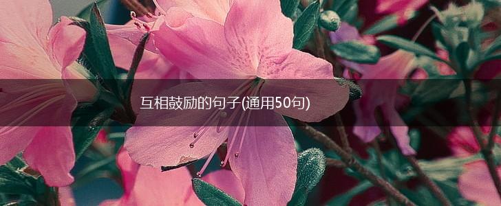 互相鼓励的句子(通用50句),第1张