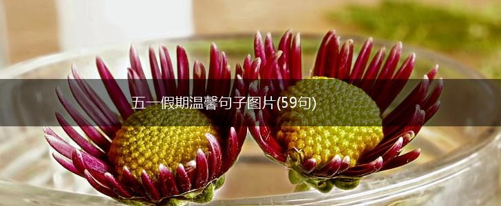 五一假期温馨句子图片(59句),第1张