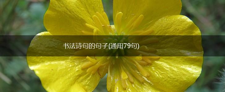 书法诗句的句子(通用79句),第1张