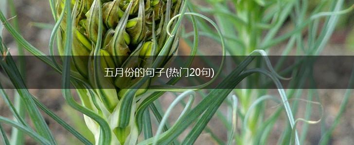 五月份的句子(热门20句),第1张