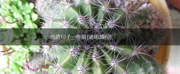 也造句子一年级(通用39句),第1张
