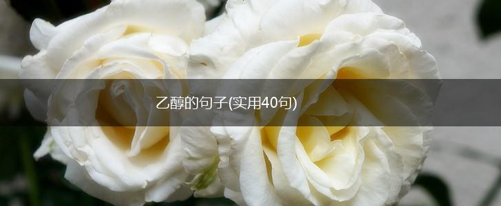乙醇的句子(实用40句),第1张