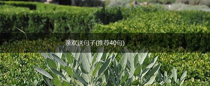 亲欢送句子(推荐40句),第1张