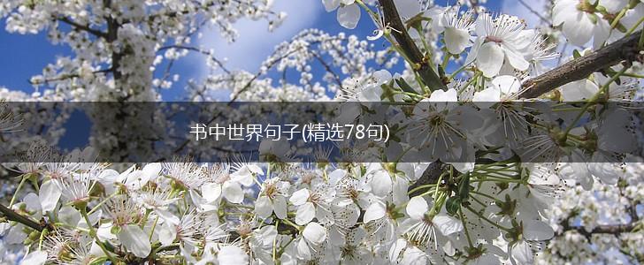 书中世界句子(精选78句),第1张