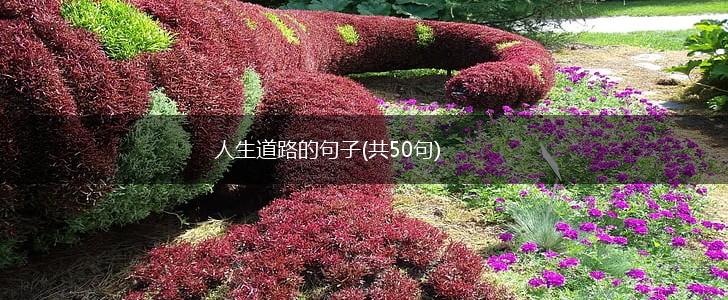 人生道路的句子(共50句),第1张