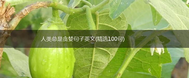 人类总是贪婪句子英文(精选100句),第1张