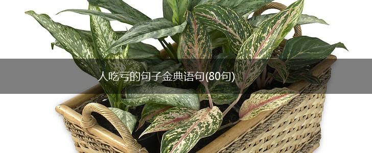 人吃亏的句子金典语句(80句),第1张