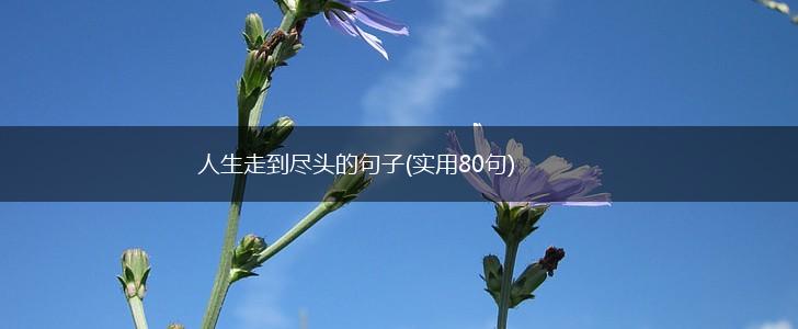 人生走到尽头的句子(实用80句),第1张