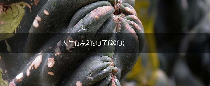 人生有点2的句子(20句),第1张