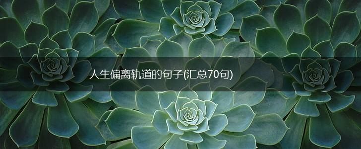 人生偏离轨道的句子(汇总70句),第1张
