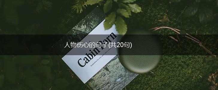 人物伤心的句子(共20句),第1张