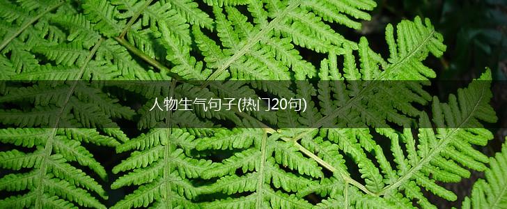 人物生气句子(热门20句),第1张