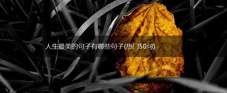 人生最美的句子有哪些句子(热门50句),第1张