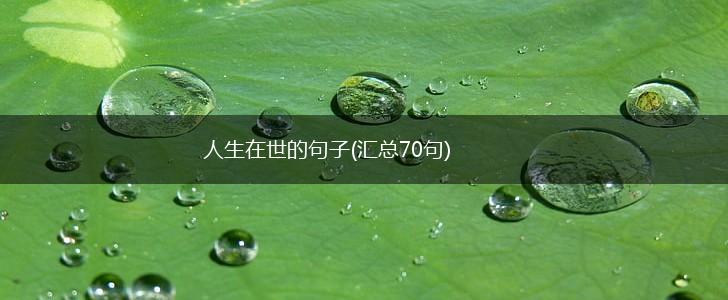 人生在世的句子(汇总70句),第1张