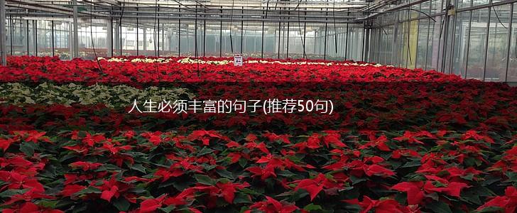 人生必须丰富的句子(推荐50句),第1张
