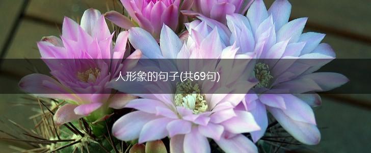 人形象的句子(共69句),第1张