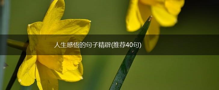 人生感悟的句子精辟(推荐40句),第1张
