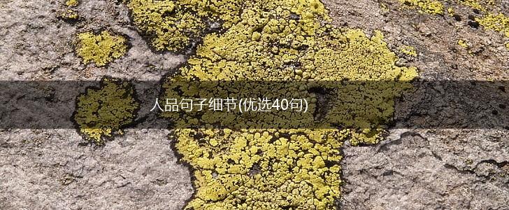 人品句子细节(优选40句),第1张