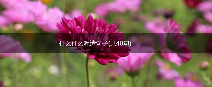 什么什么呢造句子(共40句),第1张