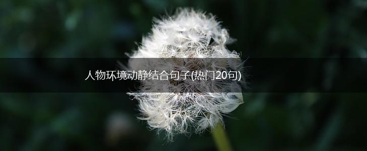 人物环境动静结合句子(热门20句),第1张