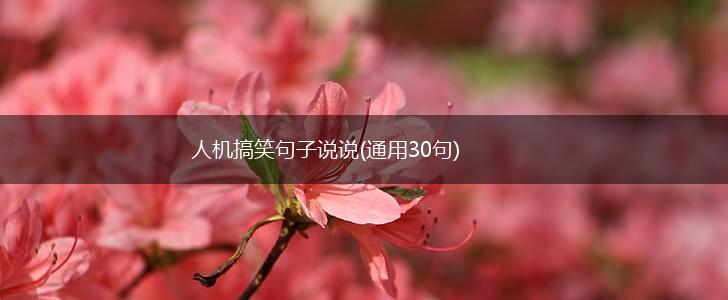 人机搞笑句子说说(通用30句),第1张