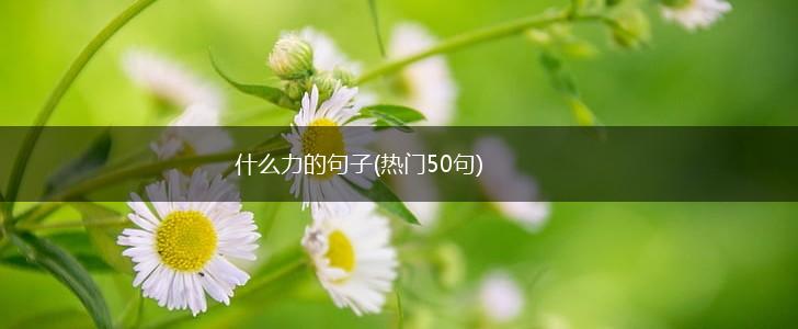 什么力的句子(热门50句),第1张
